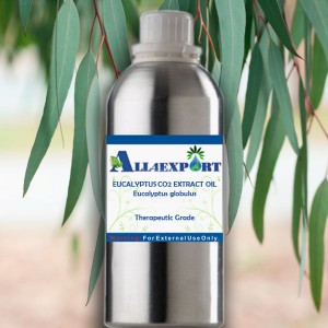 EUCALYPTUS CO2 EXTRACT OIL